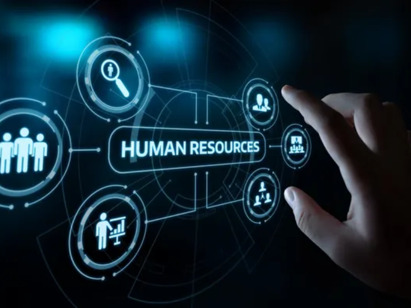 Human Resources, Information System Development & Services