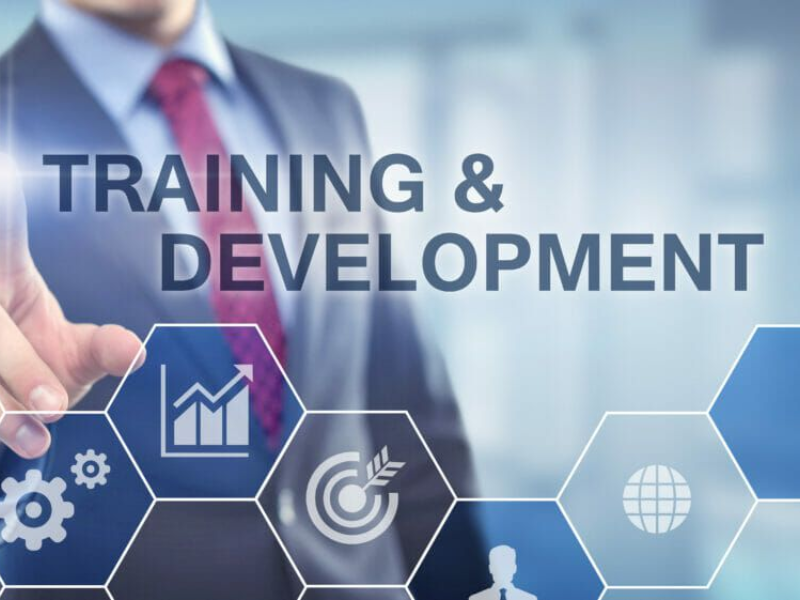 Training & Development